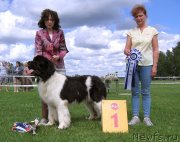 Превью фото № 243239