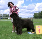 Превью фото № 243247