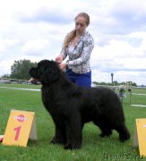 Превью фото № 243251