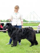 Превью фото № 243259