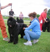 Превью фото № 243261