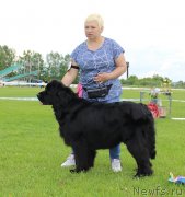 Превью фото № 243263