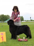 Превью фото № 243266