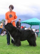 Превью фото № 243267