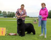 Превью фото № 243268