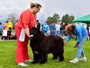 Превью фото № 243288