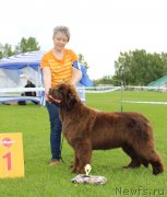 Превью фото № 243289