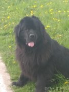 Превью фото № 243290