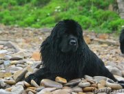 Превью фото № 243294