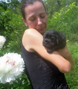 Превью фото № 243308