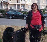 Превью фото № 243331