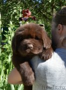 Превью фото № 243361