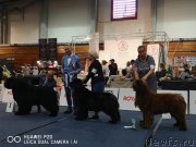 Превью фото № 243381