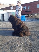 Превью фото № 243389