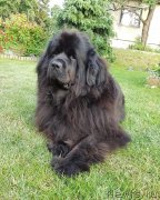 Превью фото № 243393