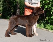 Превью фото № 243408