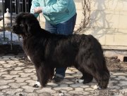 Превью фото № 243449