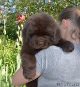 Превью фото № 243579