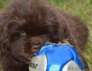 Превью фото № 243582