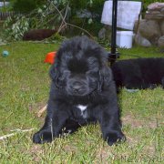 Превью фото № 243597