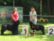 Превью фото № 243645