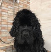 Превью фото № 243659