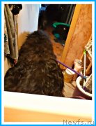 Превью фото № 243676