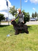 Превью фото № 243685