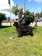 Превью фото № 243686