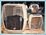 Превью фото № 243690