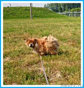 Превью фото № 243692