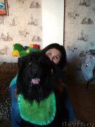 Превью фото № 243716