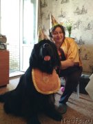 Превью фото № 243717