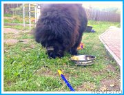 Превью фото № 243732