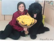 Превью фото № 243733