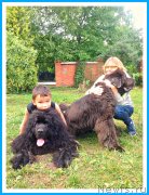 Превью фото № 243735