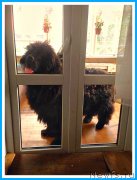 Превью фото № 243736