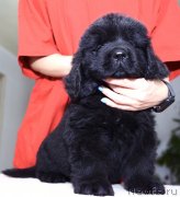 Превью фото № 243763