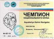 Превью фото № 243779