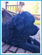 Превью фото № 243801