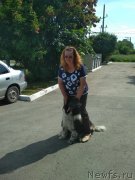 Превью фото № 243805