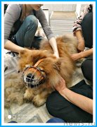 Превью фото № 243808