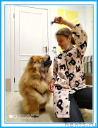 Превью фото № 243811