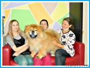 Превью фото № 243815