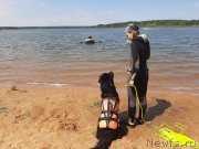 Превью фото № 243825