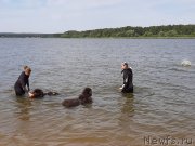 Превью фото № 243827