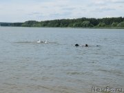 Превью фото № 243835