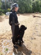 Превью фото № 243837