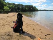 Превью фото № 243850