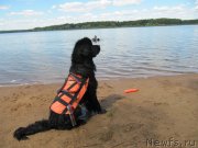 Превью фото № 243852